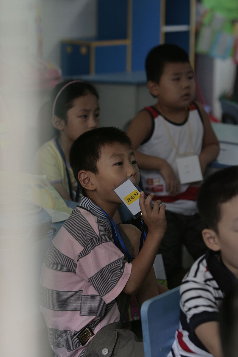 爱国诗句：表达爱国情怀的诗歌