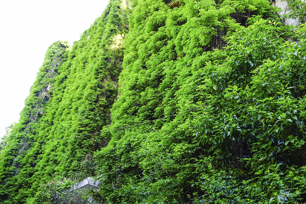 贵阳卫生学校护理专业排名第一的是哪所？贵州医科大学护理专业解析