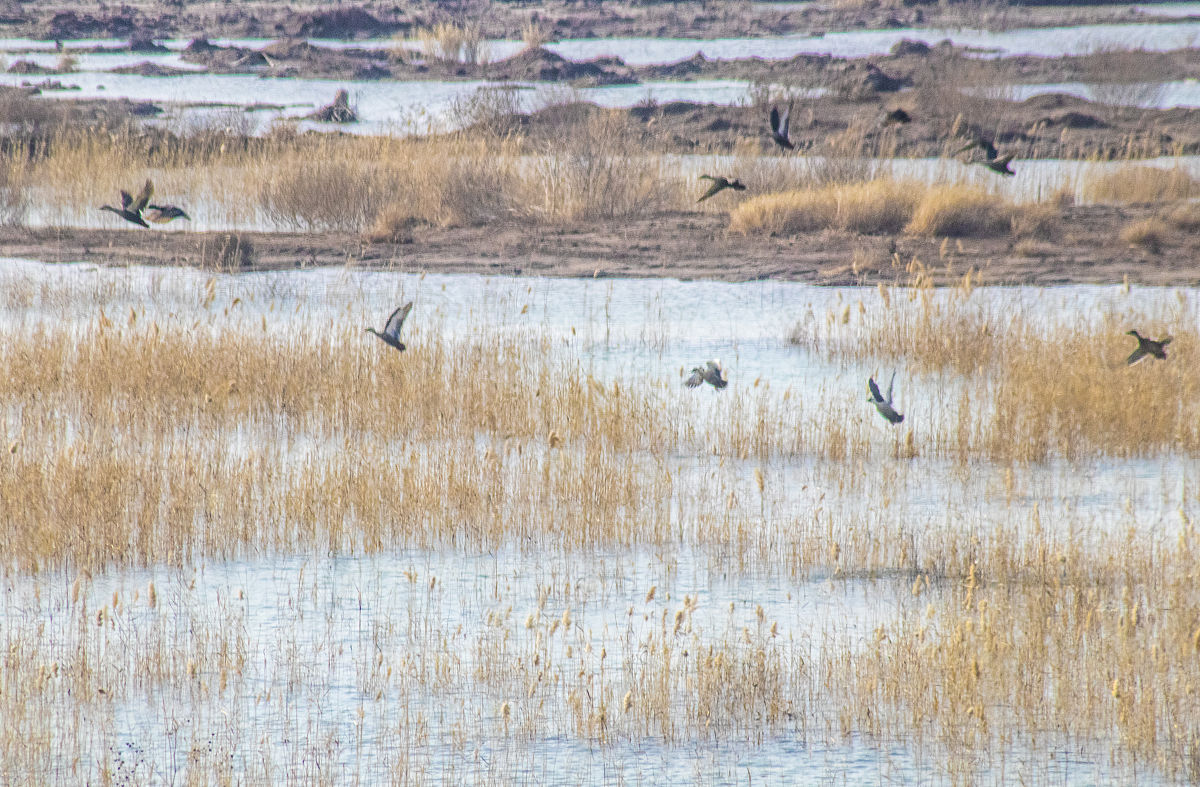 平阴职业教育中心2021年招生简章