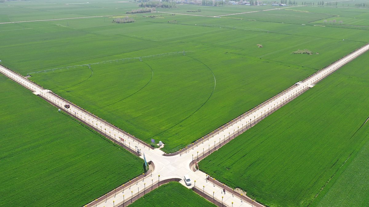 萧县师范学校是本科还是专科？2021年最新情况解析