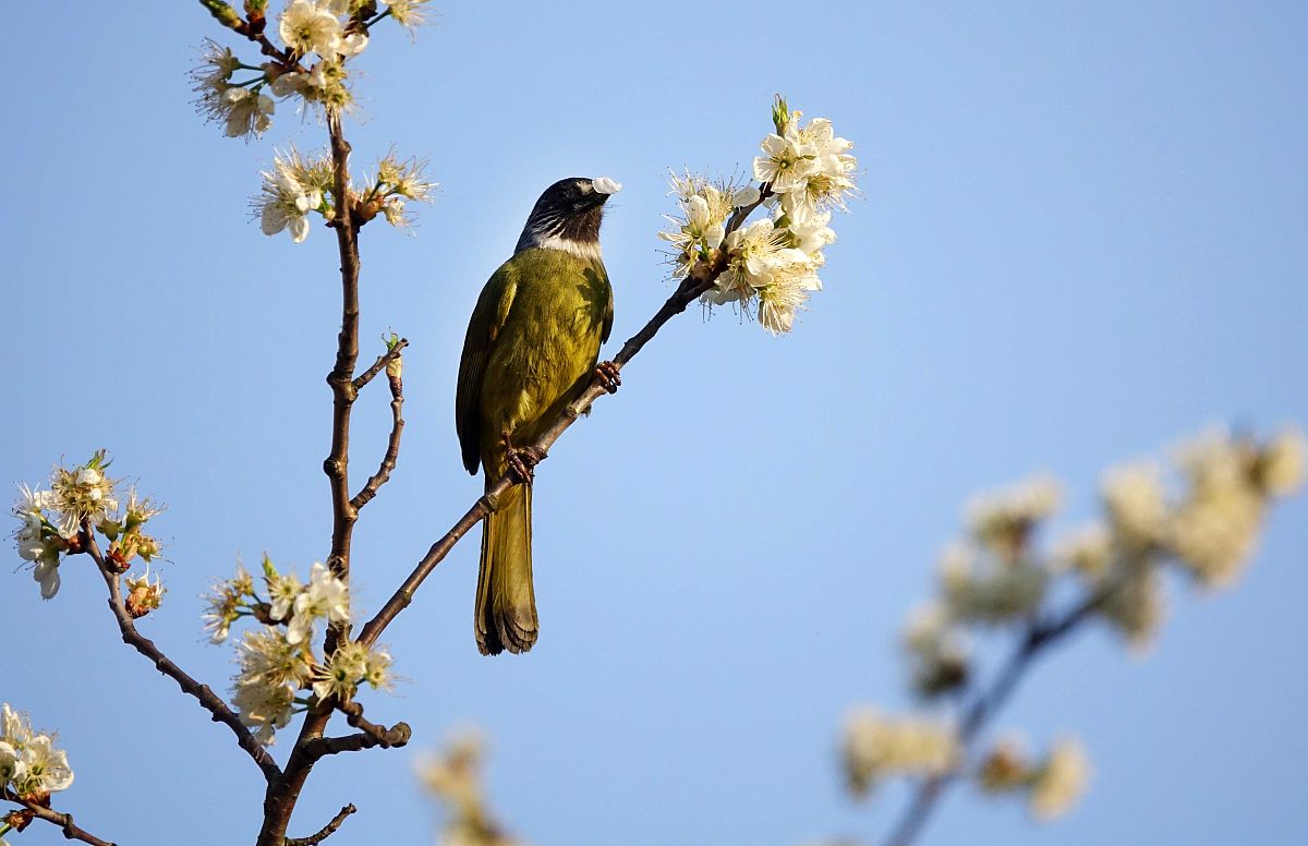 贵州铁路工程学院怎样