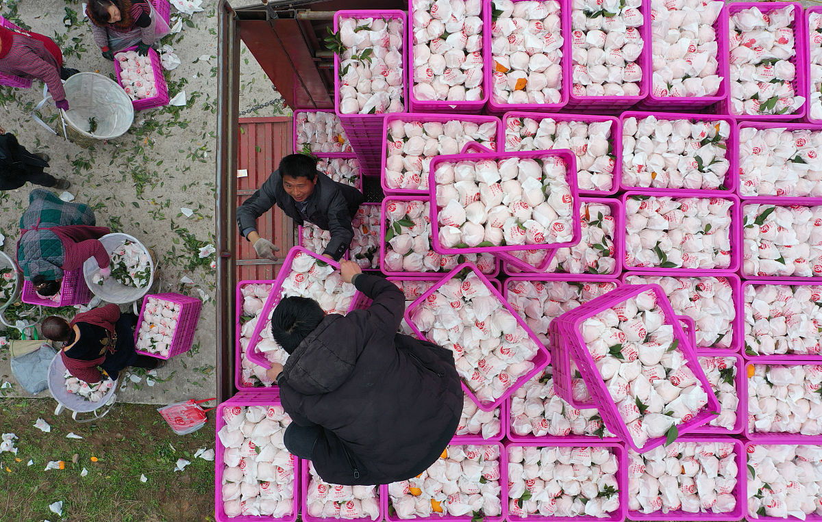 2023年南充大专卫校有哪些？附学校名单及专业