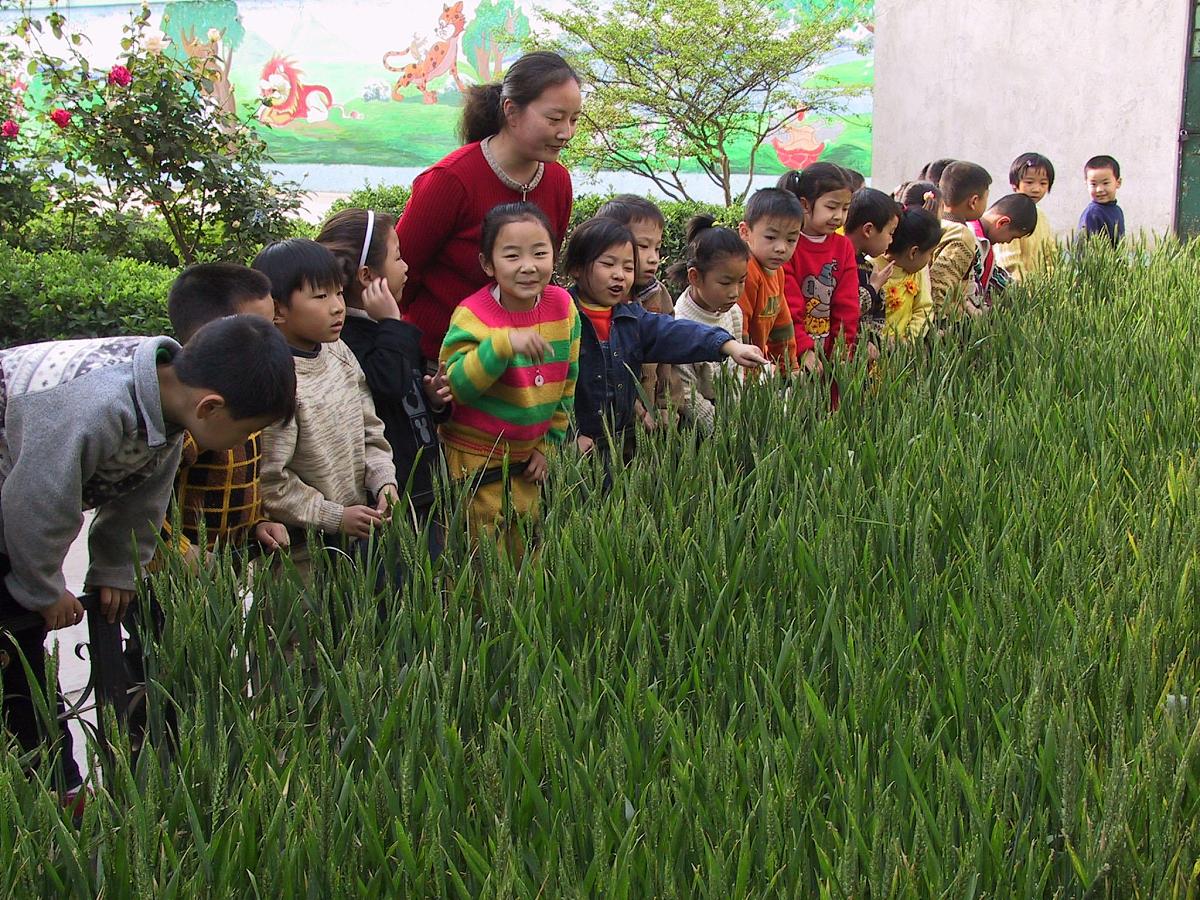 甘肃2023年读幼师学校学什么专业好