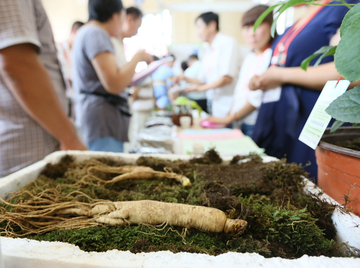 三七混合土价格：10公分土多少钱一公斤？