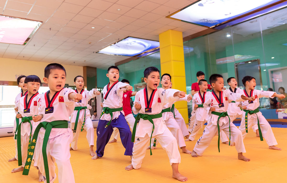 广东省佛山市黄飞鸿国际文武学校什么级别