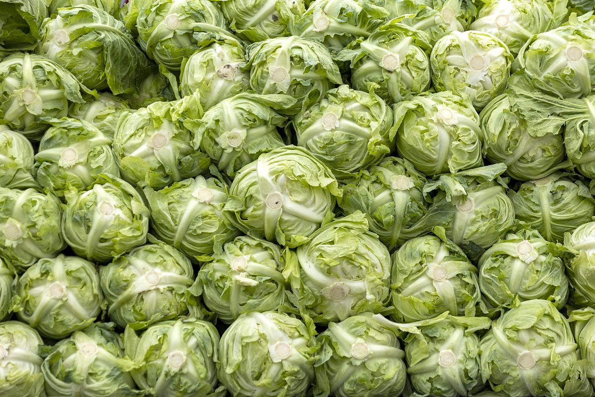 四川省卫生学校2022年开设了什么专业