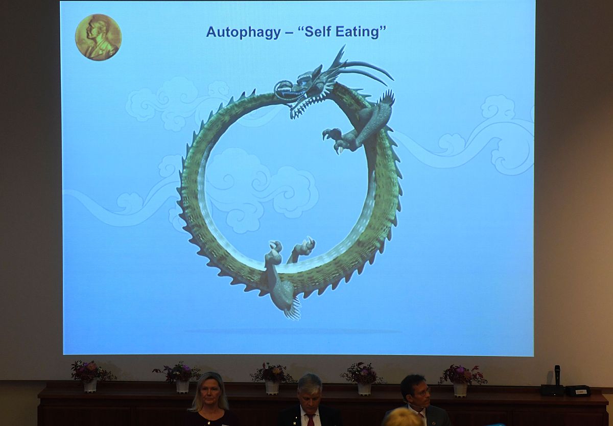 就大学细胞生物学写一篇10000字的结课论文用中文