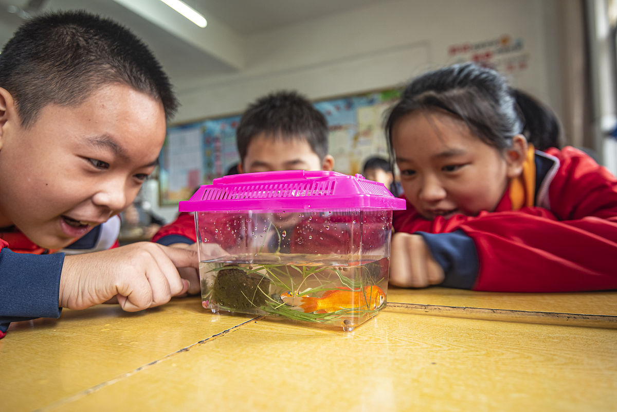帮我设计一种关于土的渗水性的小学科学创新实验教具