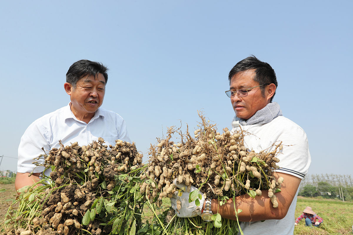 现有一篇主要围绕涡阳大豆对地区脱贫的作用及地区大豆的特色种植的三下乡调研报告请拟定有文采且符合调研报告主题的题目