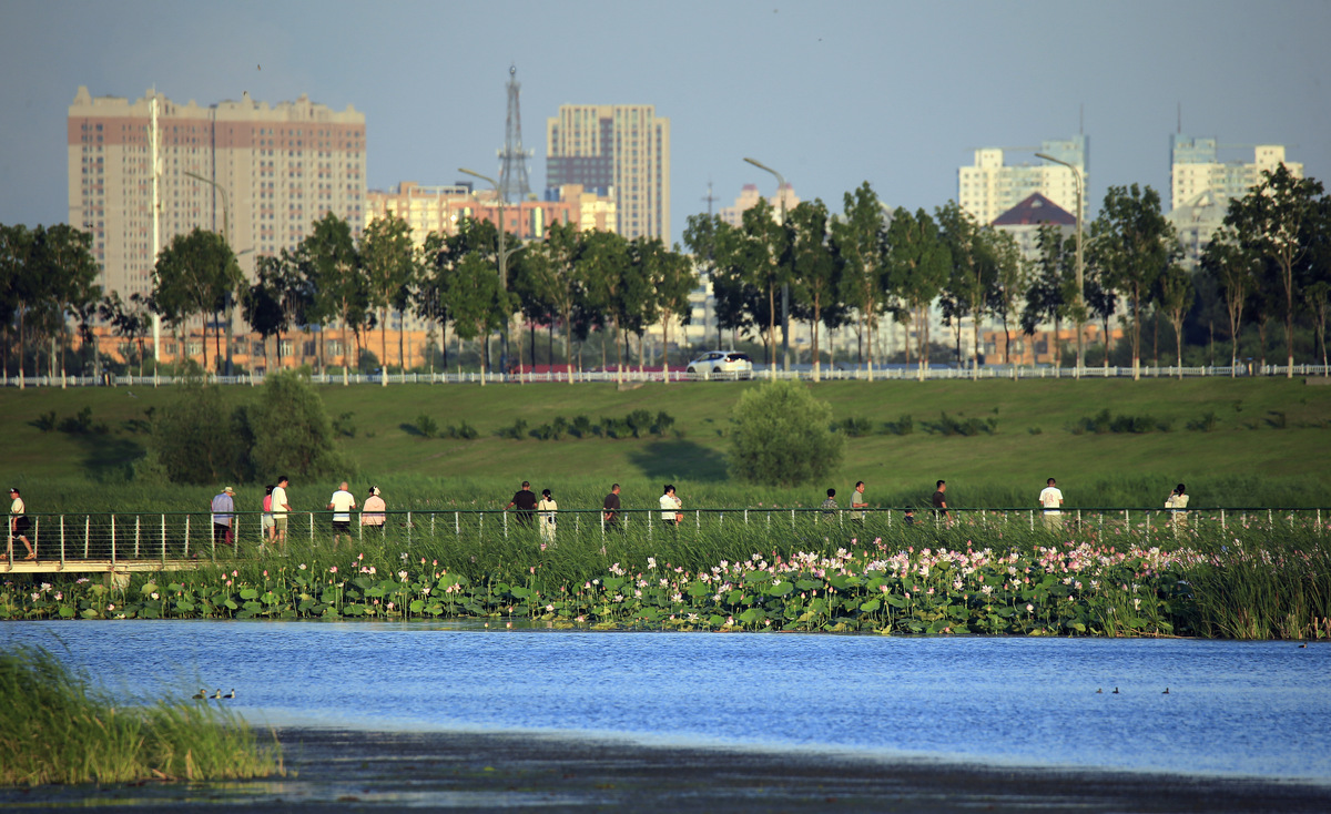 甘肃省临夏回族自治州太极岛湿地公园的地层