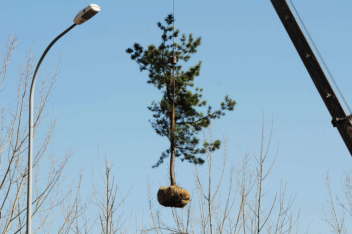 浙江公路机械技工学校2021年招生简章 - 报名时间及专业