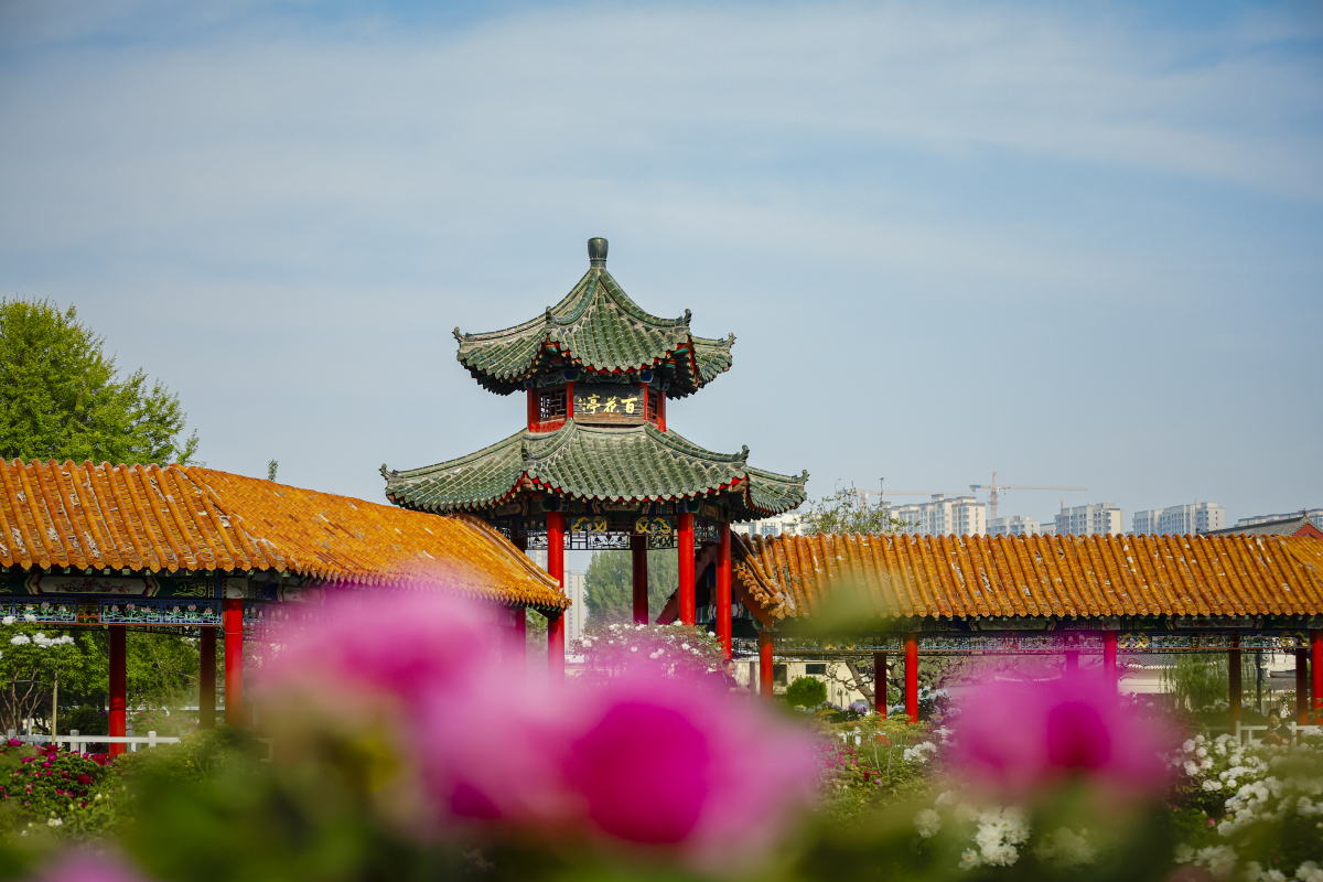 曹州牡丹园:作为全国农业旅游示范点和国家aaaa级旅游风景区,曹州