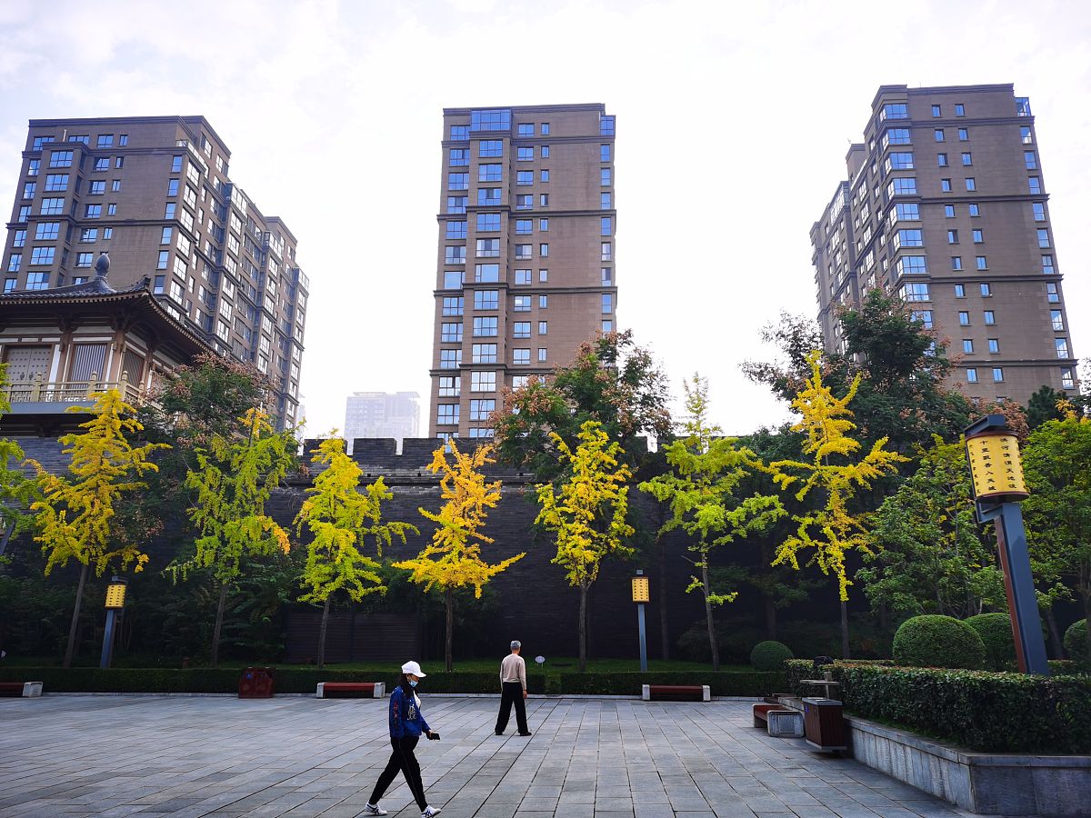 创业项目：蛋糕店项目建设地点：西安市雁塔区西影路1 该行业基本情况介绍2 该行业市场容量3 政策因素对该行业的影响程度4 行业的市场痛点目前正打算进行蛋糕店创业项目请按照下面提纲撰写创业计划书每个小标题下面写200字左右。