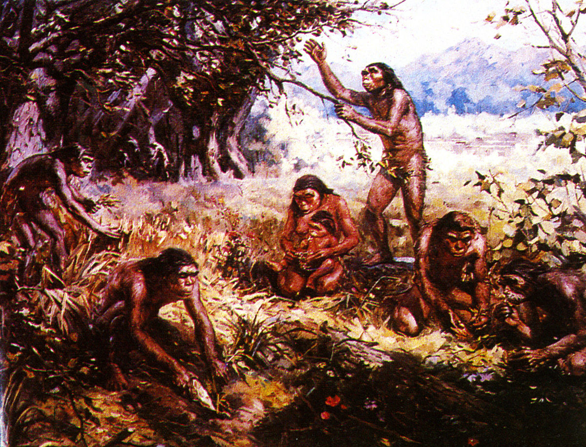 类人猿演化史：从猿到人的漫长旅程