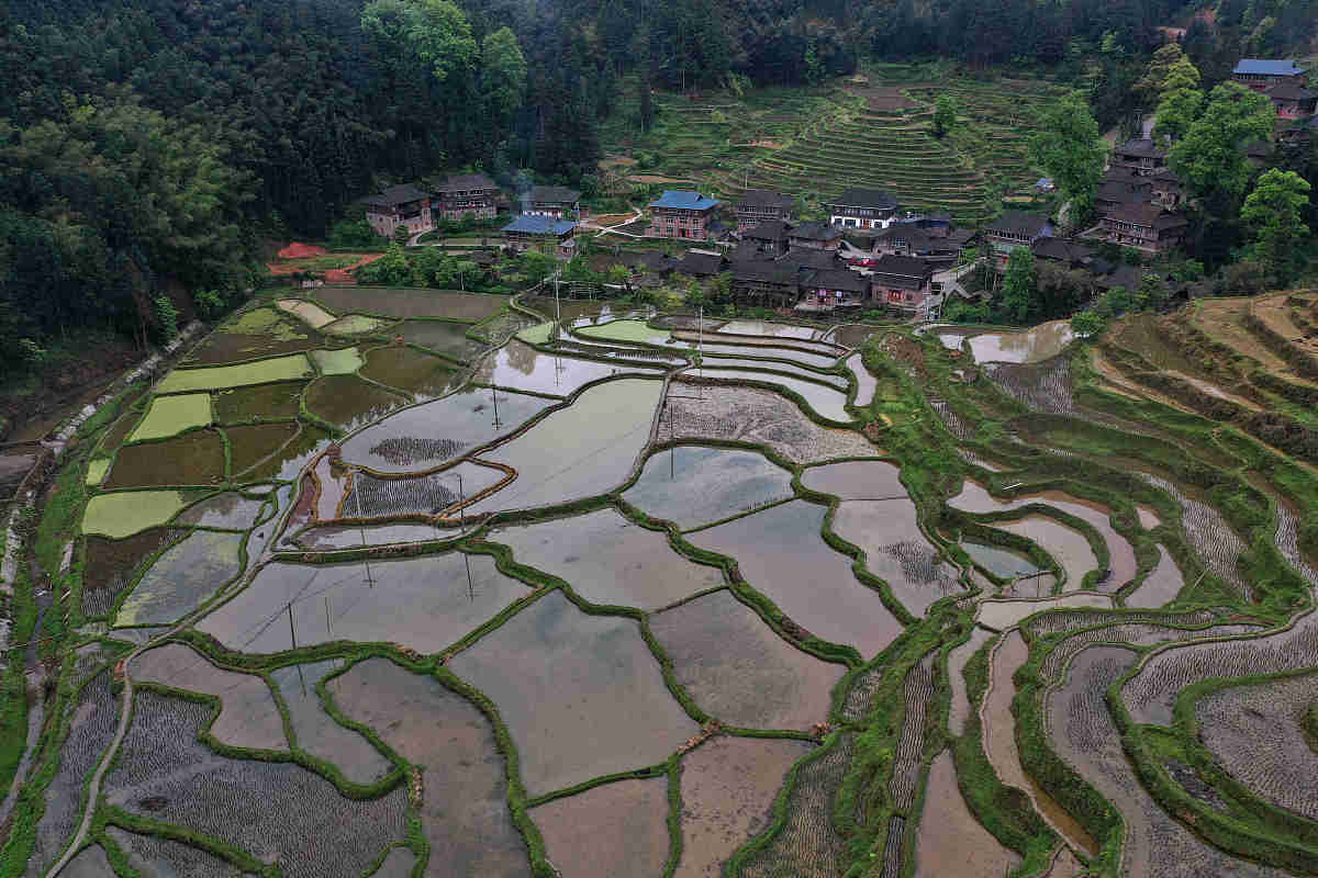 大妹，一个新的称呼