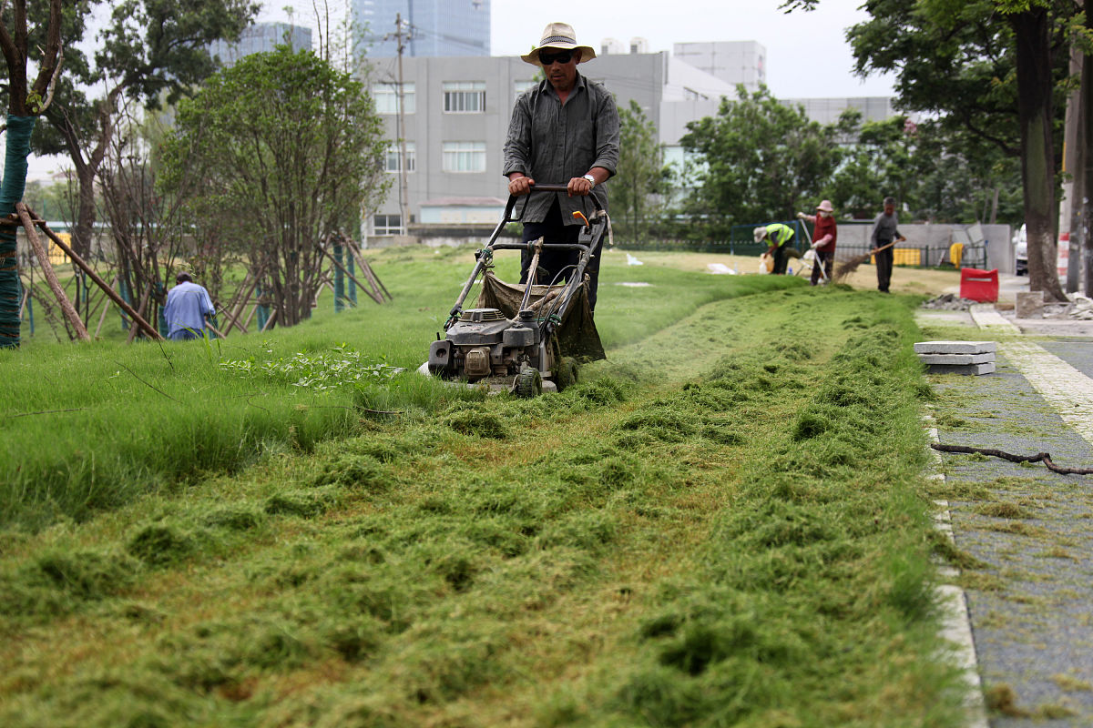 绿化养护保障措施