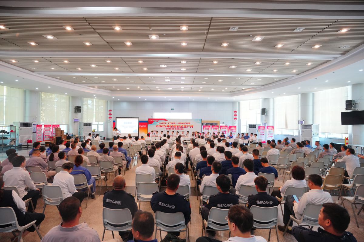 Z保险公司陕西分公司营销人员培新体系优化策略研究