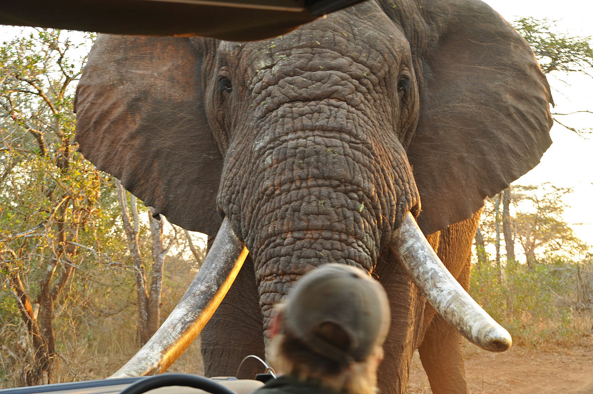 17.5米长车辆能否转弯？9.82米通道转入24米通道案例分析