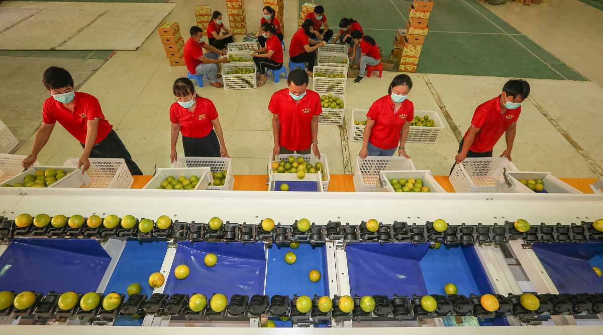 帮我详细描述以下内容并在最后作出总结关联人：个人信息	检测状态	状态码状态	企业类别筛选	时间筛选