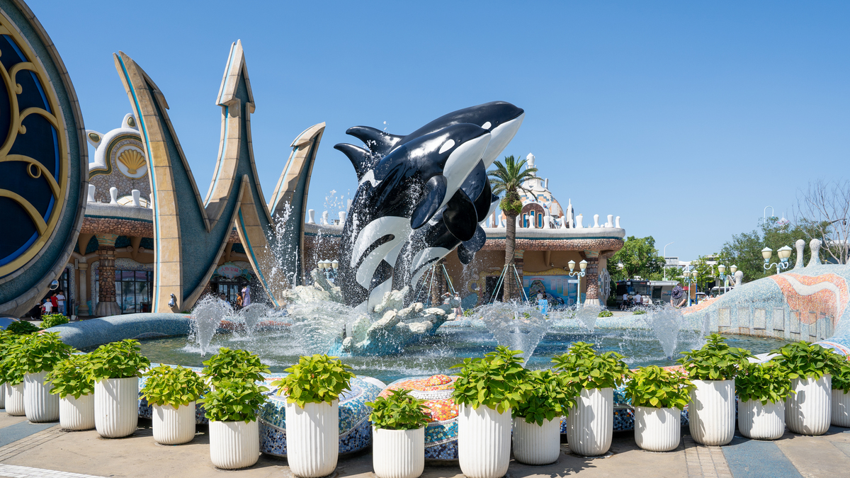 上海儿童乐园推荐：迪士尼、海洋公园、科技馆等