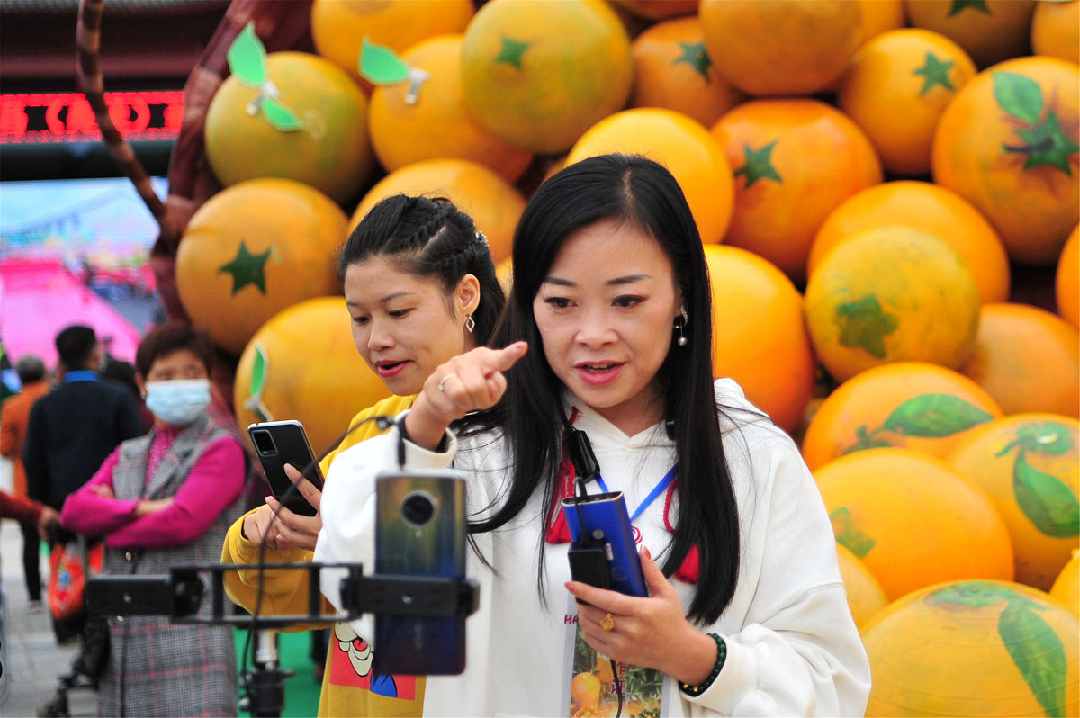 铁棍山药直播电商：个人IP助力农产品销售新模式