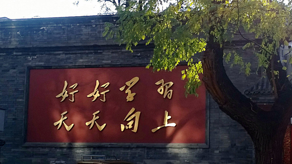 为有牺牲多壮志，敢叫日月换新天：红楼梦中的励志名句