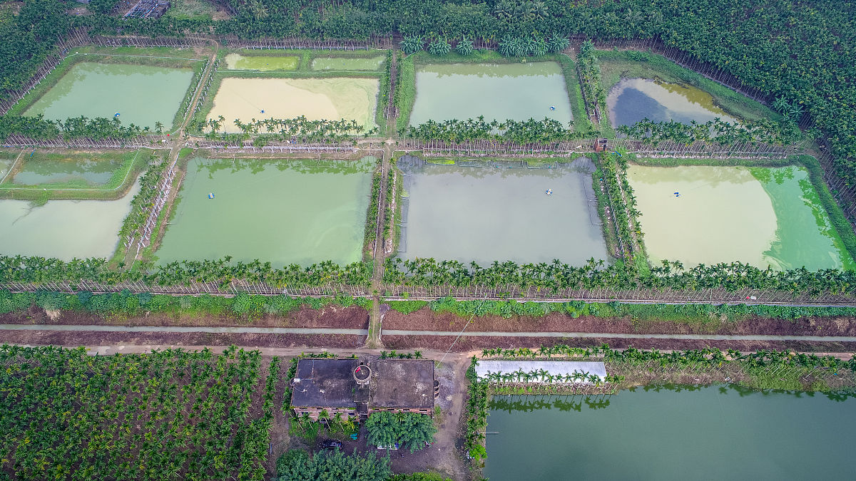 厦门华厦职业学院市场开发与营销专业怎么样？优势解析