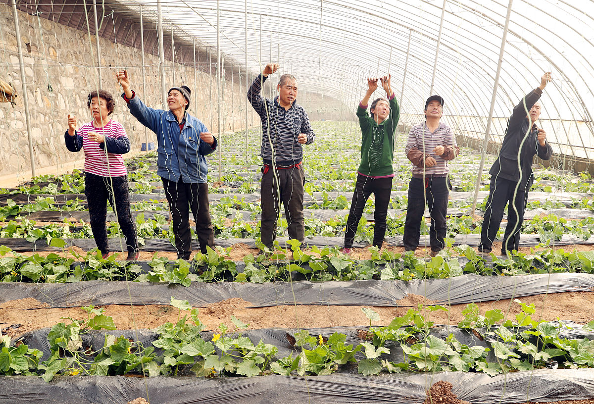 发挥农村人才优势，助力河北农业经济发展