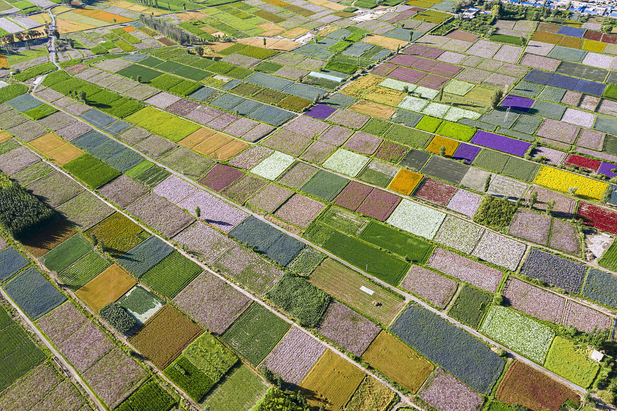 白银艺术设计学校2022年招生简章-招生报名知识