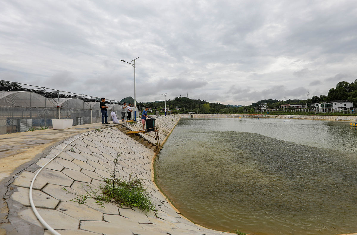 蒙自市芷村镇再生水厂工程建设的技术员工程内容为再生水规模为 2000m³d本次建设内容主要包括送水泵房、再生水水池、高位水池、管道工程及电气工程。理解请回复ok你作为这个项目的施工技术员你认真负责专业知识丰富、现场管理到位现让你专 业 技 术 职 称 申 报请写一篇关于这个项目你所胜任的职务相关内容的工作总结中间加三个例子建设施工过程中遇到的专业难题如何解决的
