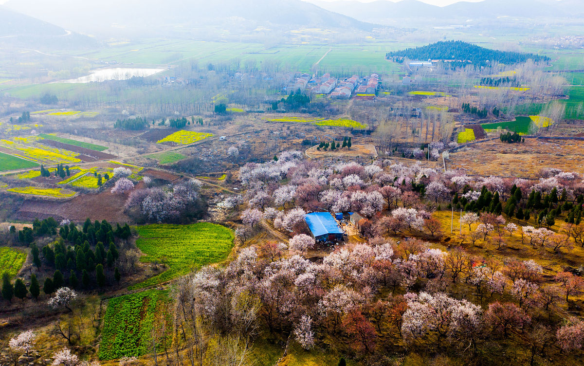 2022年安徽交通技术学校招生简章 - 报考指南