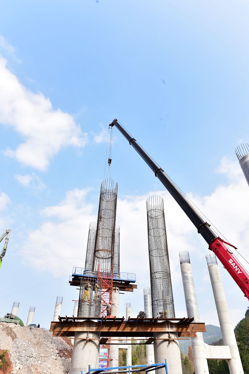 重庆2022年护理学校学历要求：大专及以上！