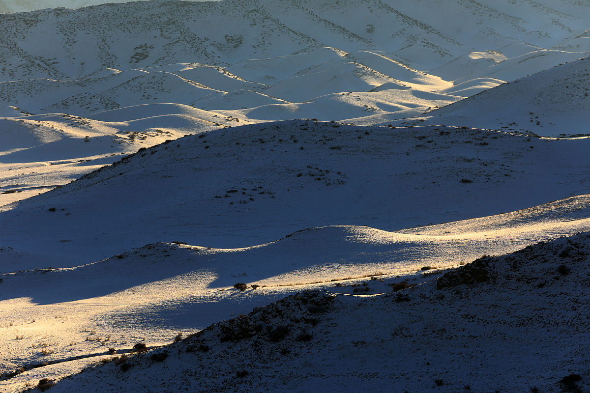 博尔塔拉职业技术学院专业有哪些？专业介绍