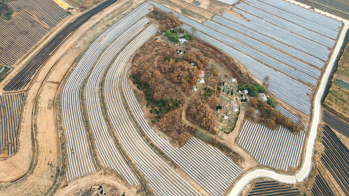 重庆农业学校学前教育有3+2五年制大专吗