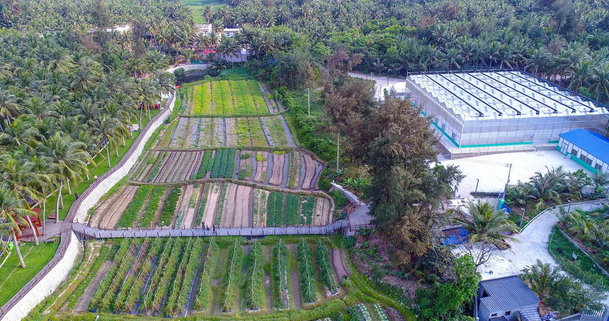 文山州的林下经济产业如何走得更长远