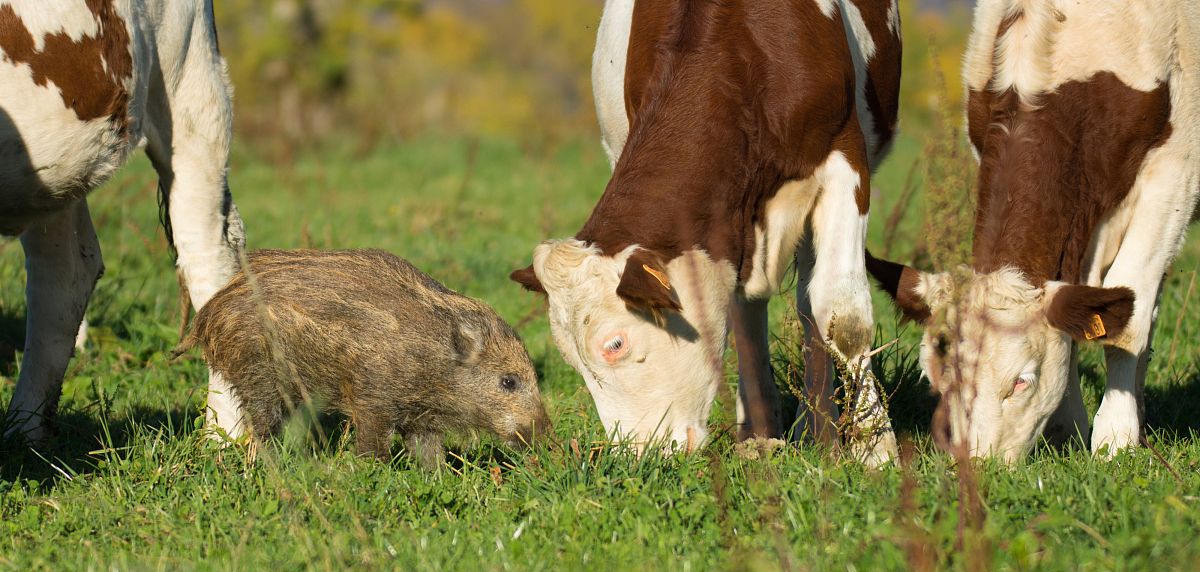 缘分未到是什么意思？详解缘分与人际关系