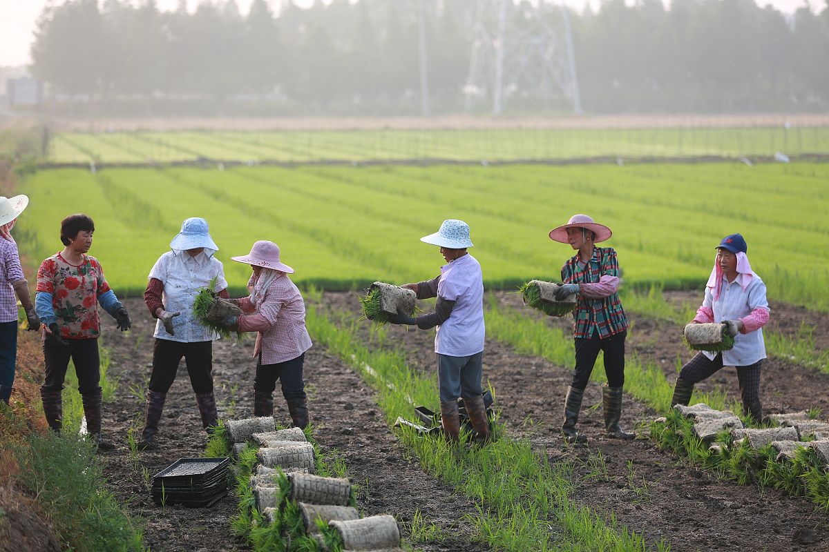 四川省长宁县职业技术学校设施农业生产技术专业到底行不行设有哪些课程