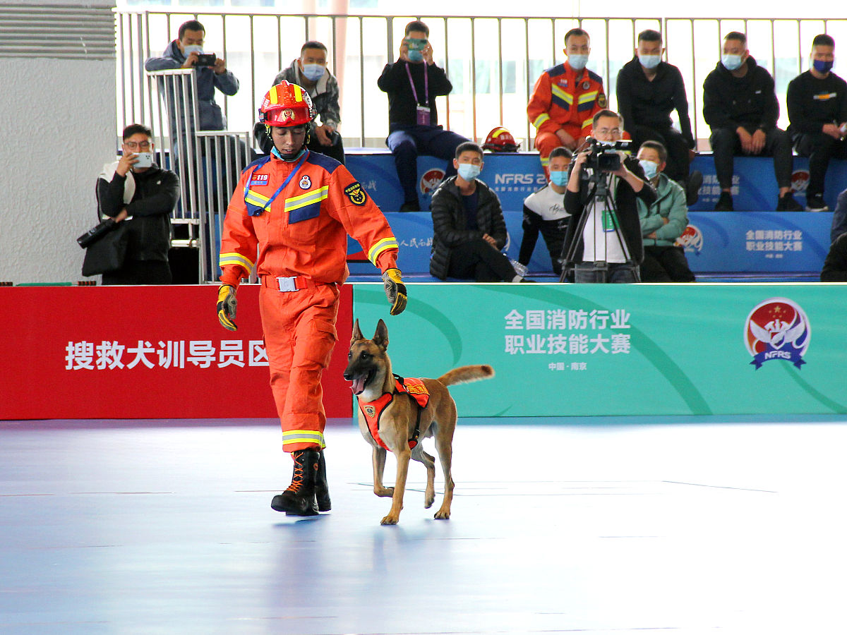 漳州理工职业学院建设工程监理专业优势怎么样发展前景好不好呢