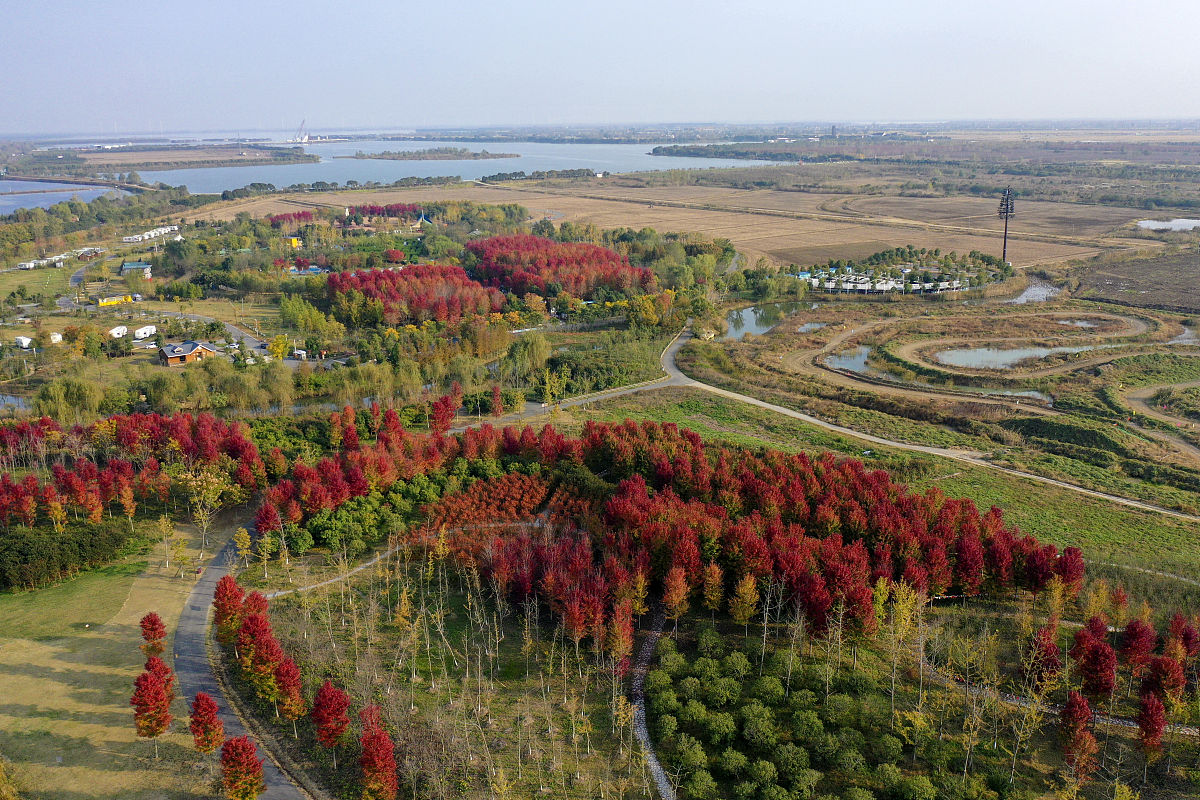 淮安市乡村旅游发展策略研究：现状、问题与未来展望