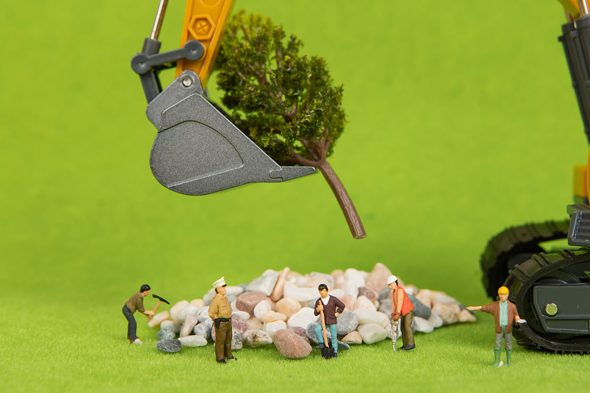 《重庆市森林资源保护问题及对策分析》论文的研究背景不少于800字。