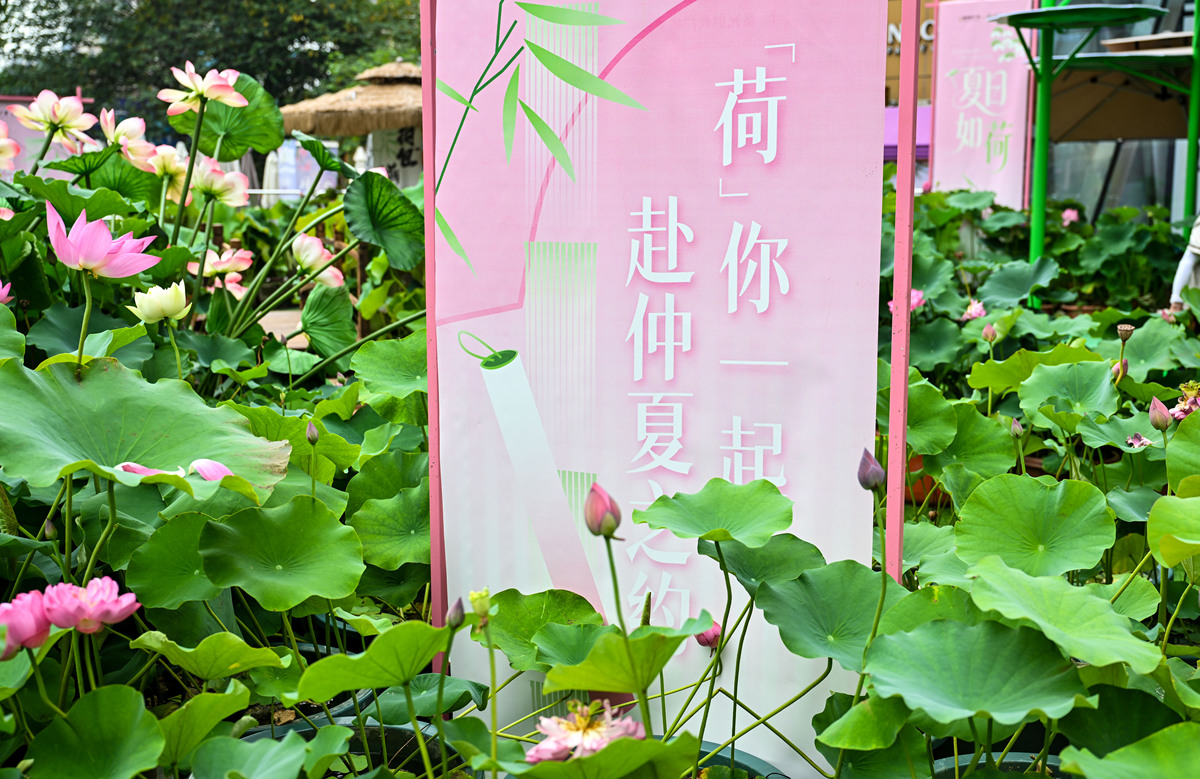 重庆哪些大专学校有铁道车辆专业