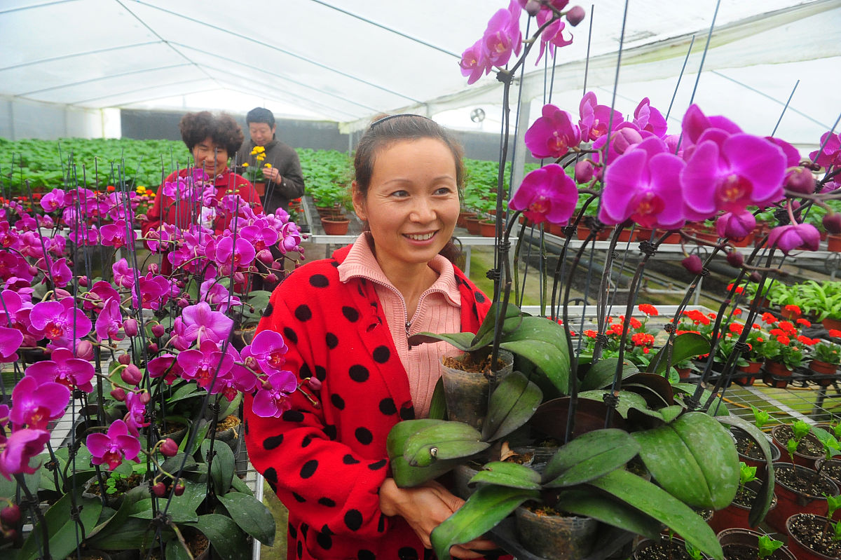 阜阳科技职业学院酒店管理专业怎么样？优势、不足及提升建议