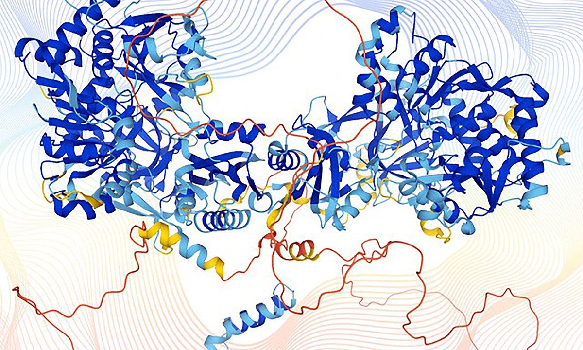 初中生物学科习题研制理论与实践研究的时间安排