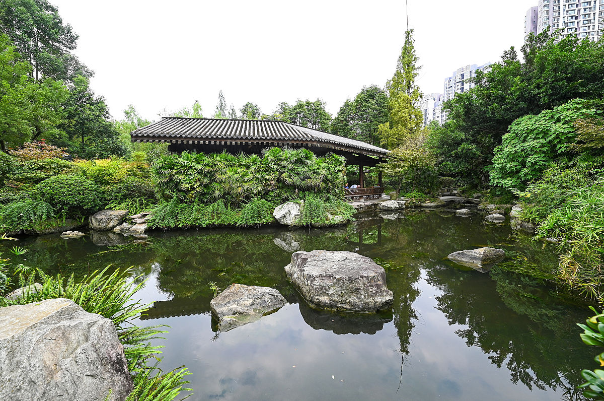 成都卫生校2021年招生条件提前出炉