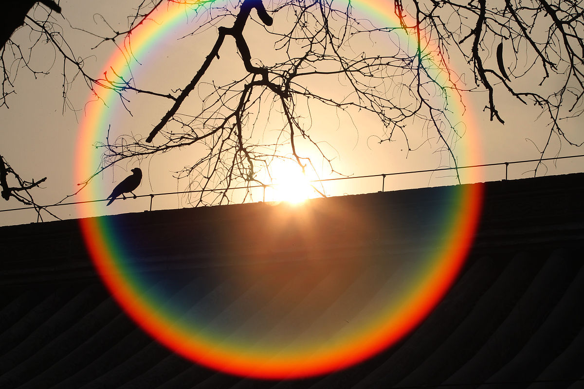 日出时感觉离人近，日中时感觉远？孩子的神奇观察与科学解释