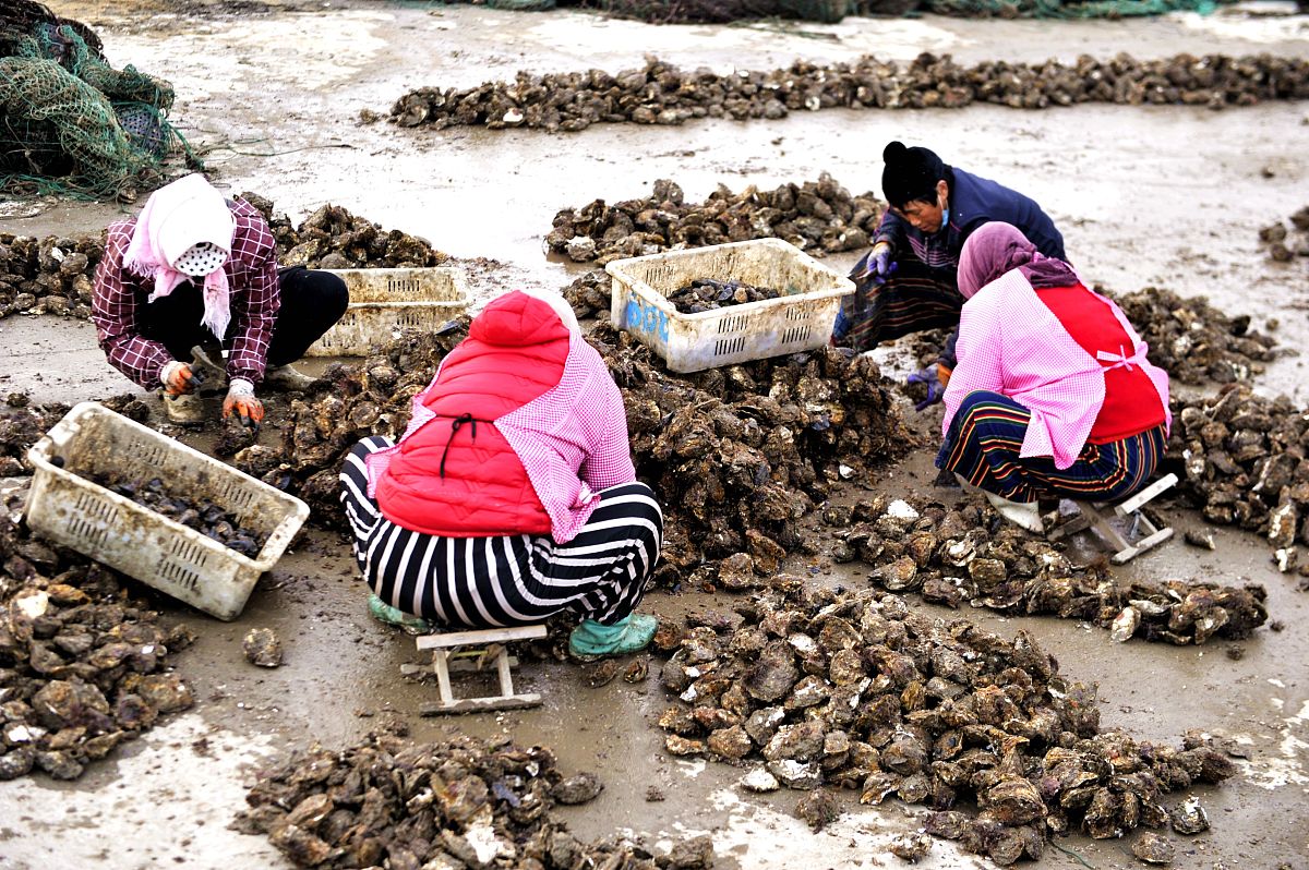 前湾新区新材料产业专题驾驶舱：助力产业集群发展