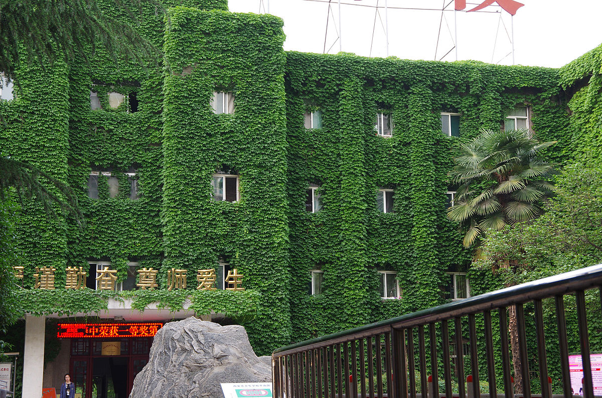 重庆护理卫生学校护理专业就业前景及学校优势解读