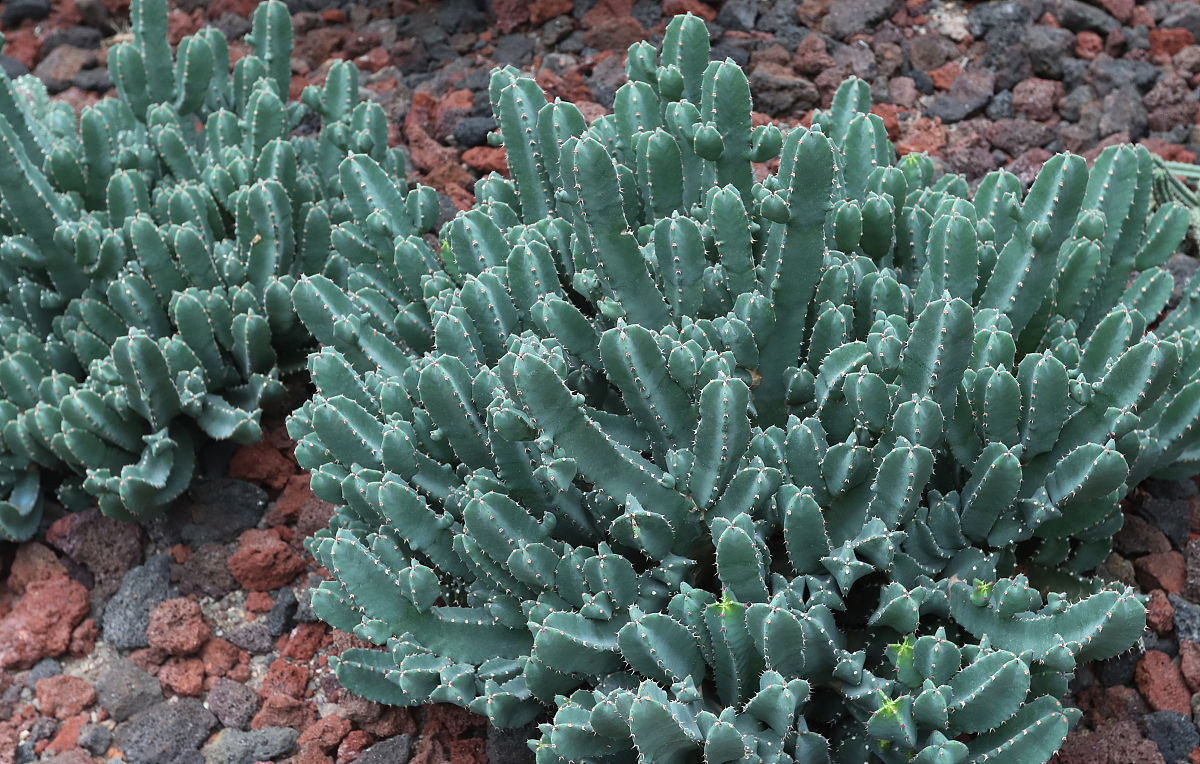 昆明理工职业学院三年制中专招生简章 | 2021年招生信息