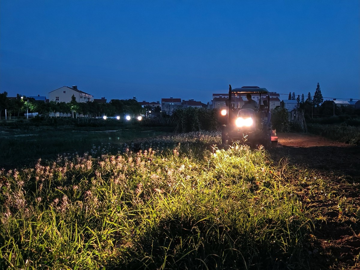 介绍下湖北孝感这个城市要从城市的地理位置人文历史经济饮食风土人情几个方面来介绍