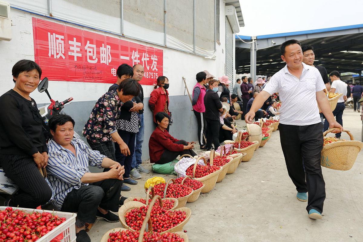 安丘徐家沟樱桃市场帮我用230字详细描述